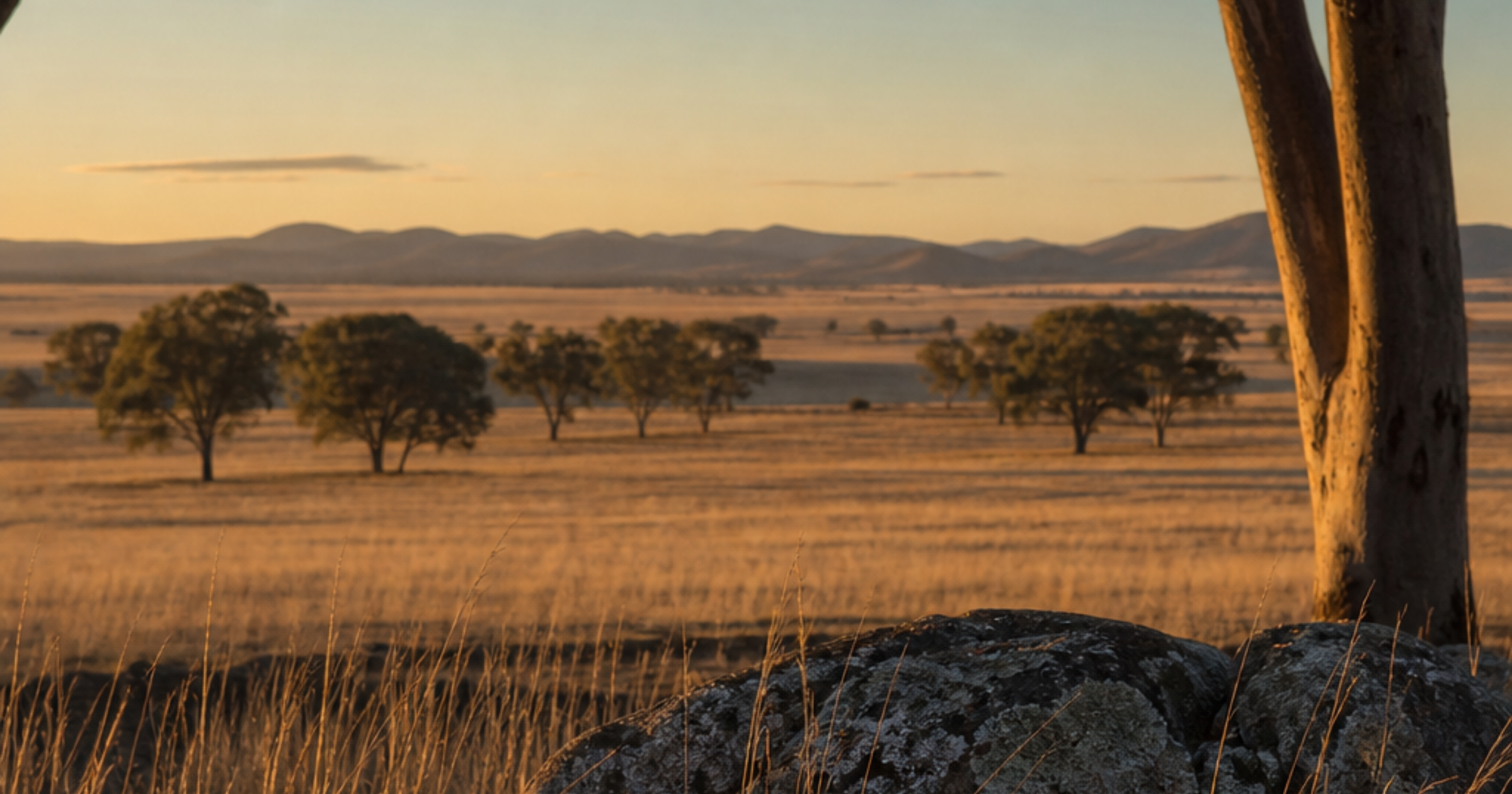 Telehealth Therapy for Eating Disorders in Rural Australia